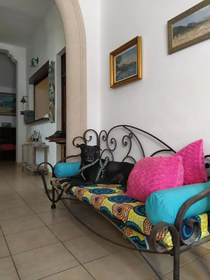 Guest house Pension Bellavista Port de Pollenca